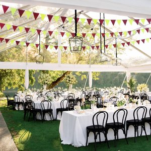 Burgundy and Chartreuse Wedding Decor, Paper Triangle Bunting, Dangling Garland, Trendy Color Wedding Decoration, Reception Tent Decor