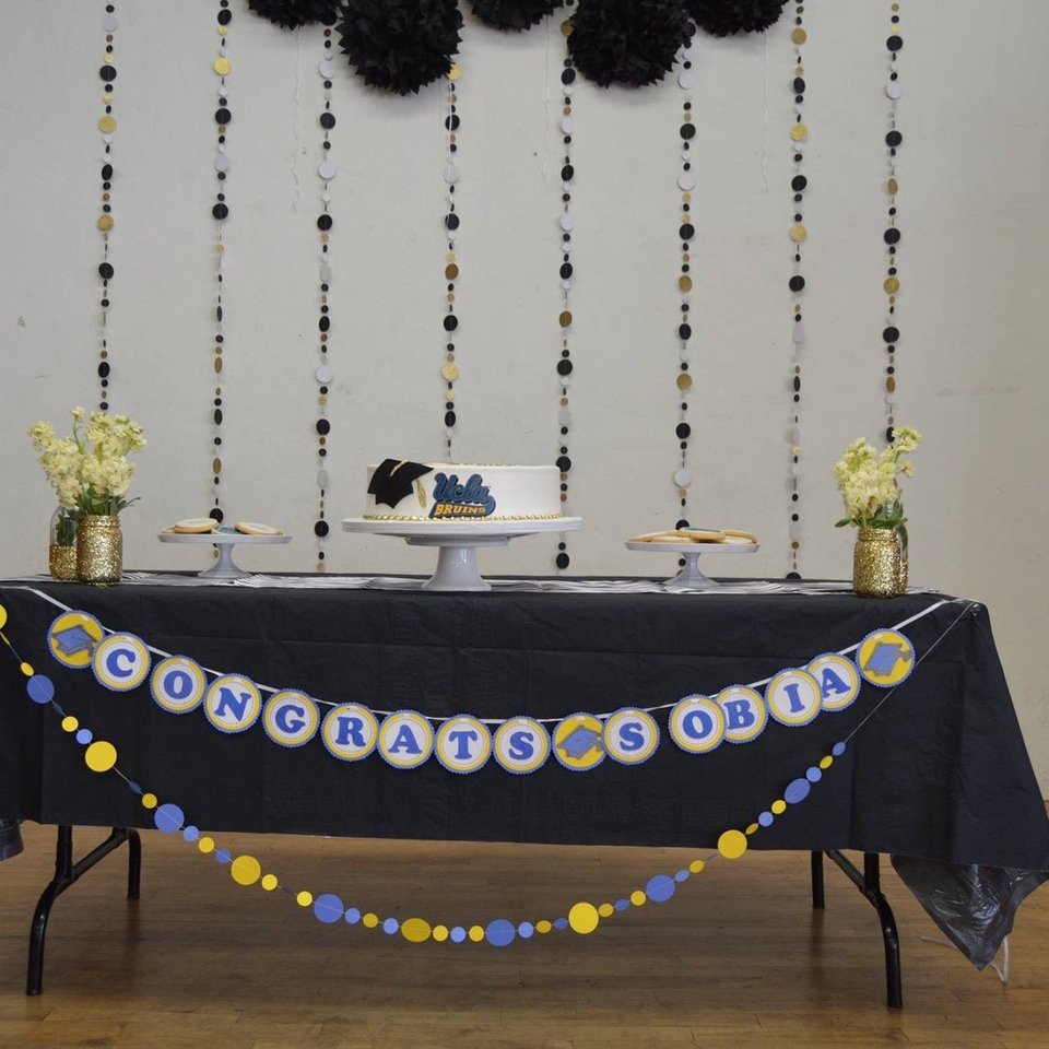 Graduation Garland, Graduation Party Decor, Blue Orange Garland, Wheaton College, U of Illinois, School Colors Bunting, Party Backdrop