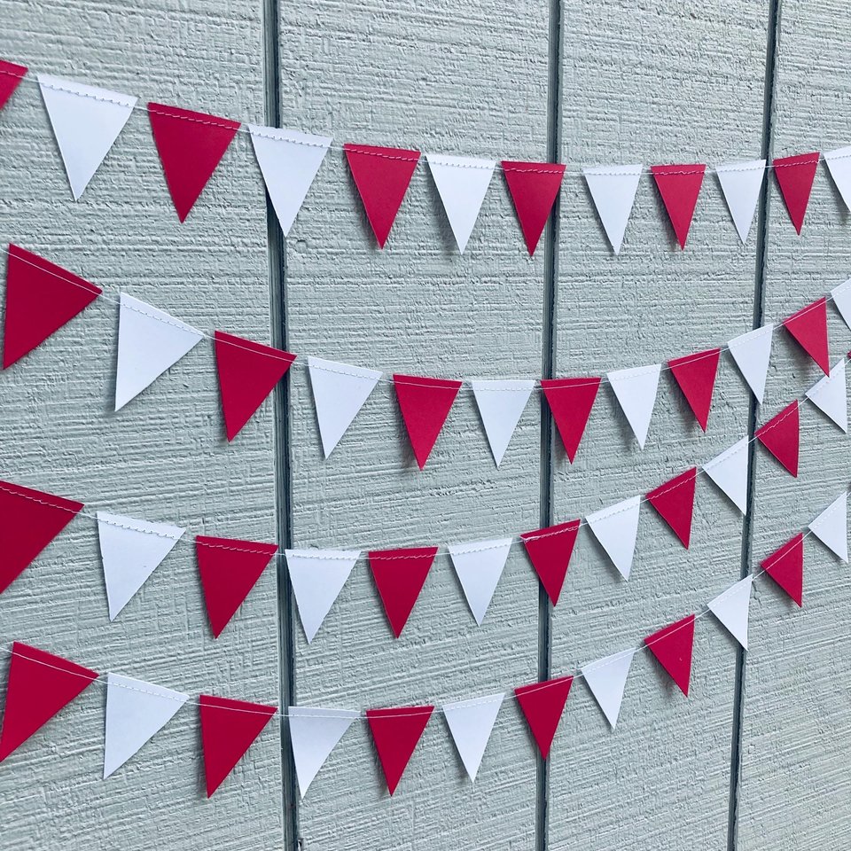 Illinois State University graduation party garland, Red and White Triangle Bunting, University dorm decor, Bed Party Streamers, Dorm Decor
